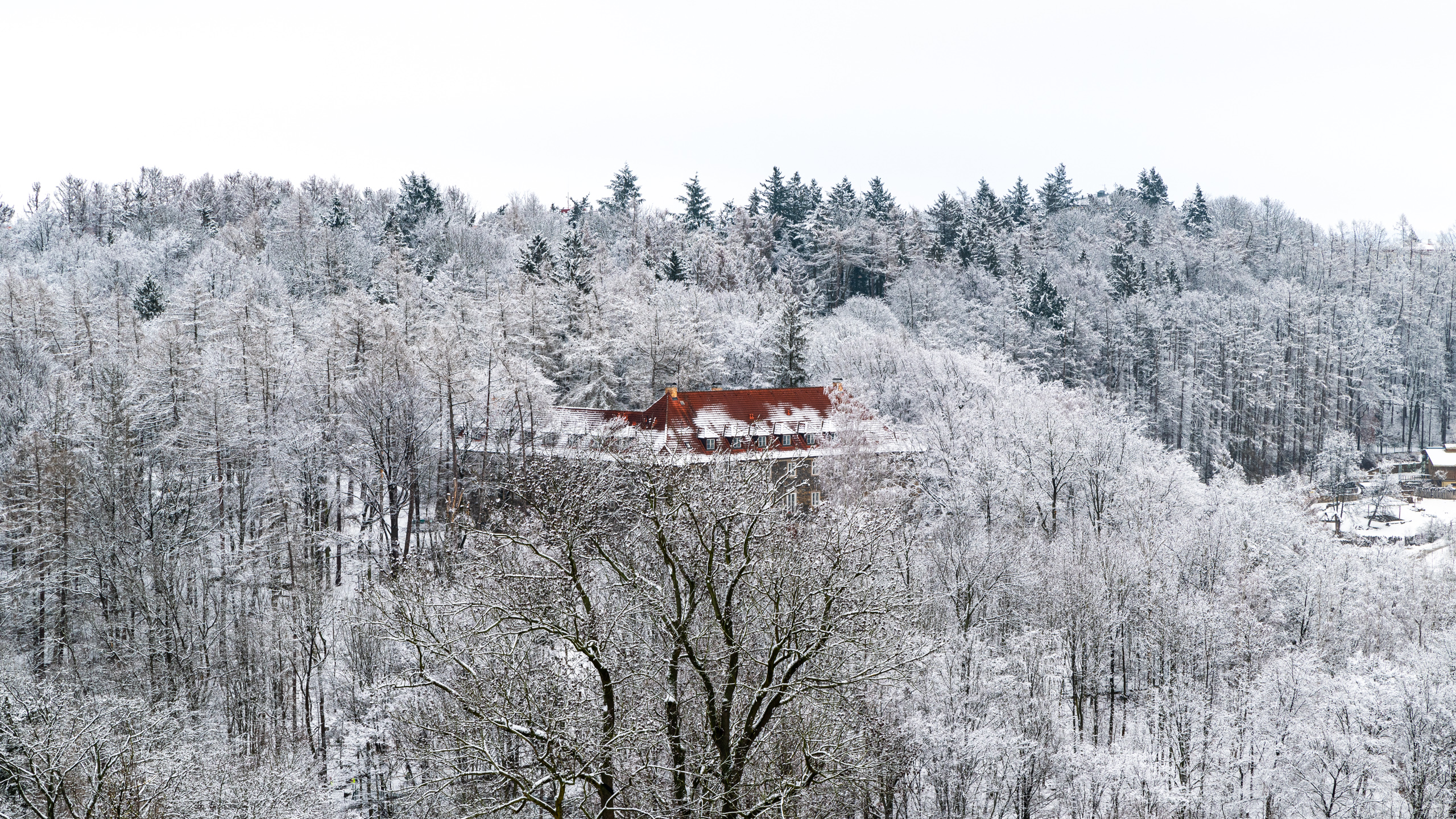 Novoroční restart na&nbsp;Vysočině