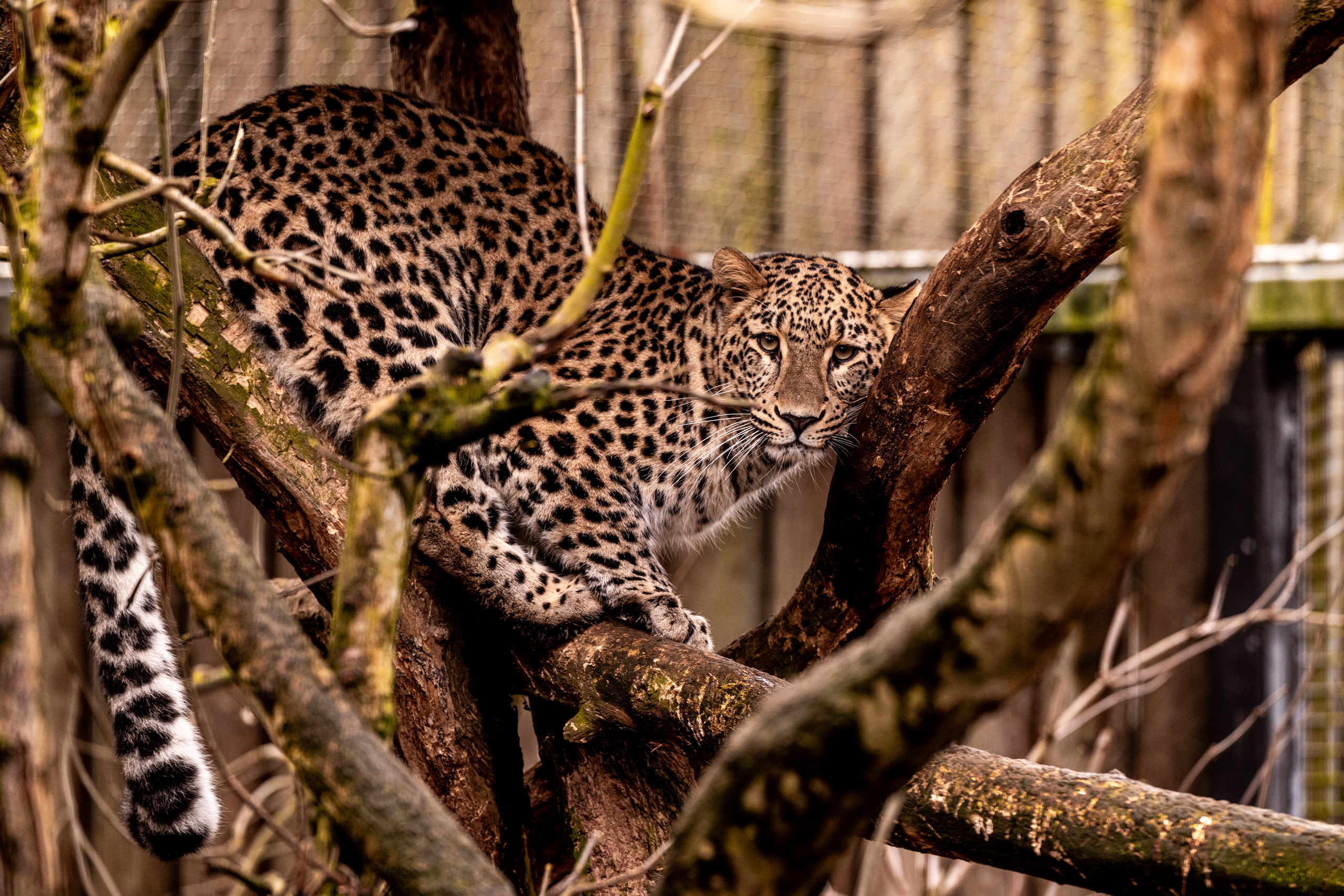 Instajízda Tepnou Vysočiny: mezi zimou a&nbsp;jarem