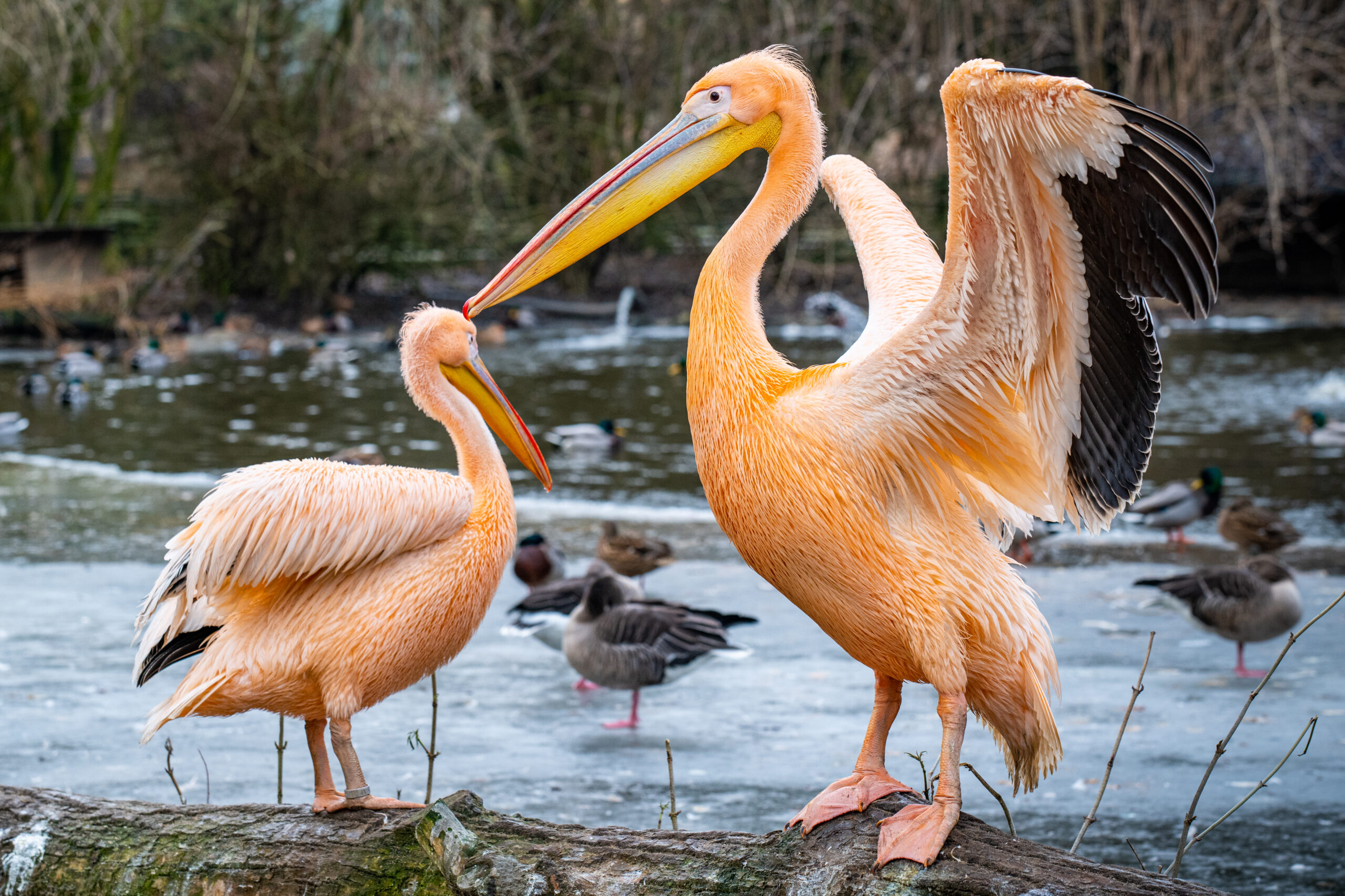 Velikonoční prázdniny