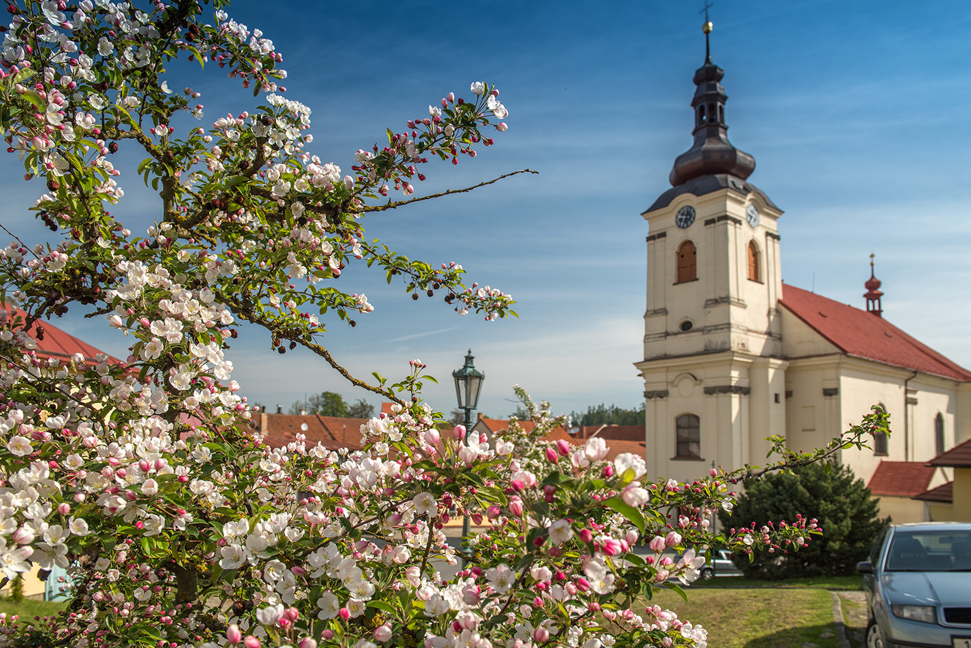 Rozkvetlá Vysočina