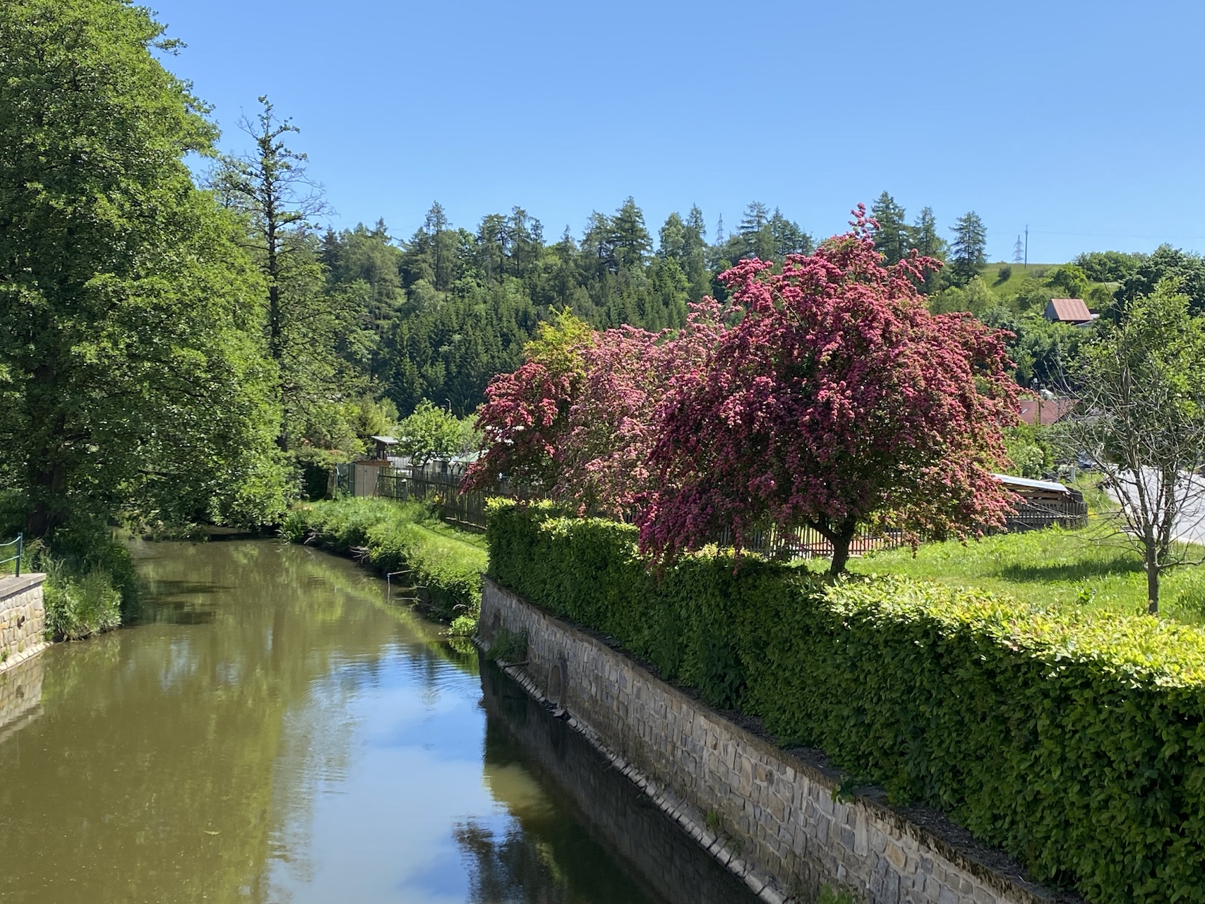 Rozkvetlá Vysočina