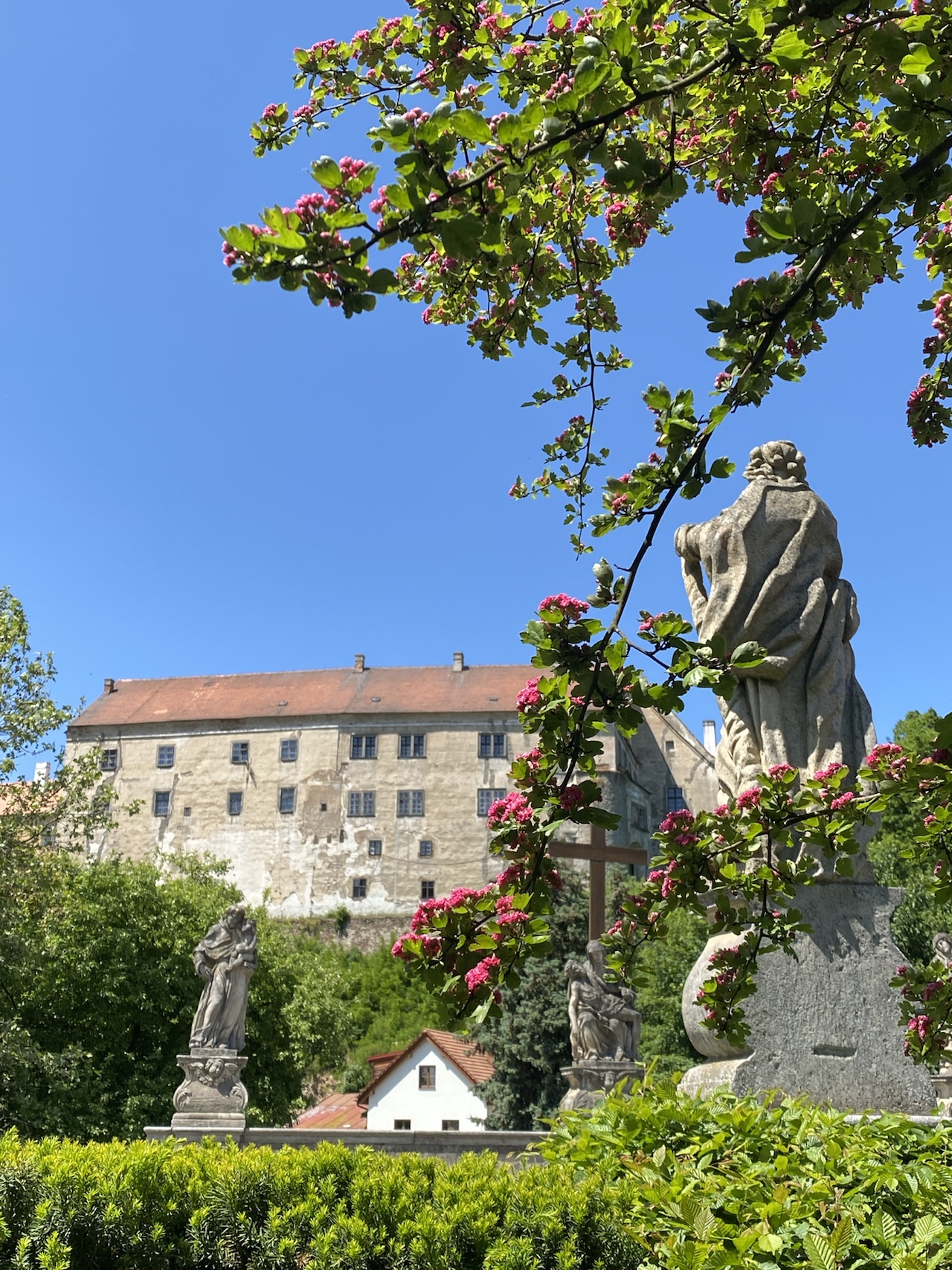 Rozkvetlá Vysočina