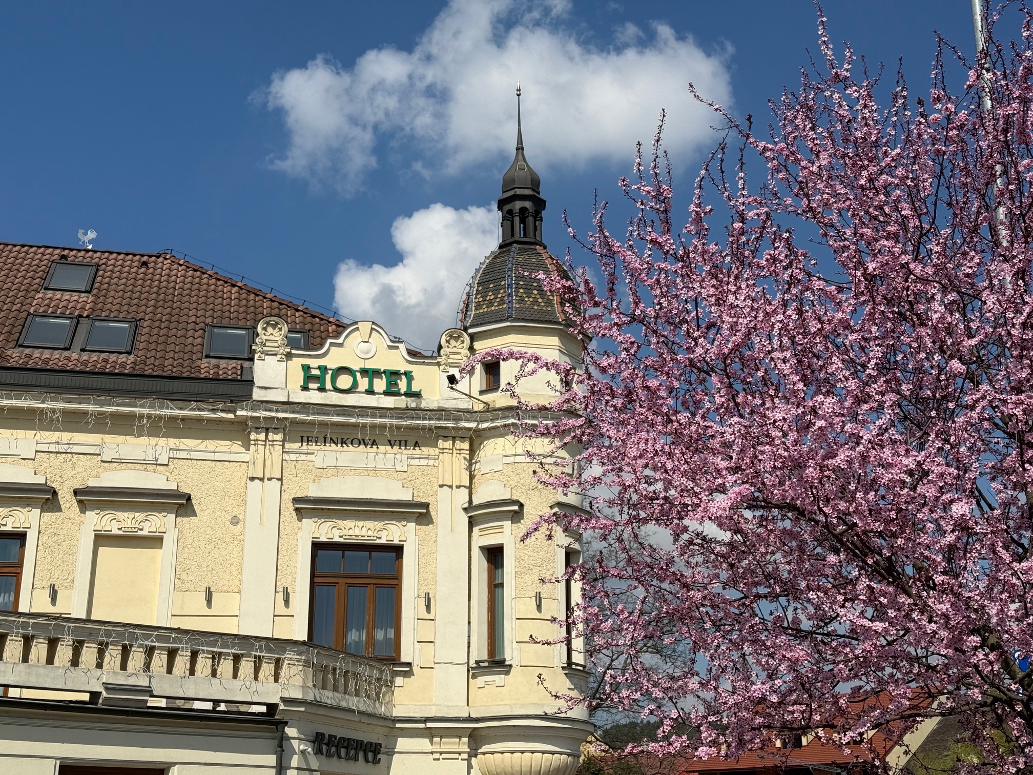 Rozkvetlá Vysočina