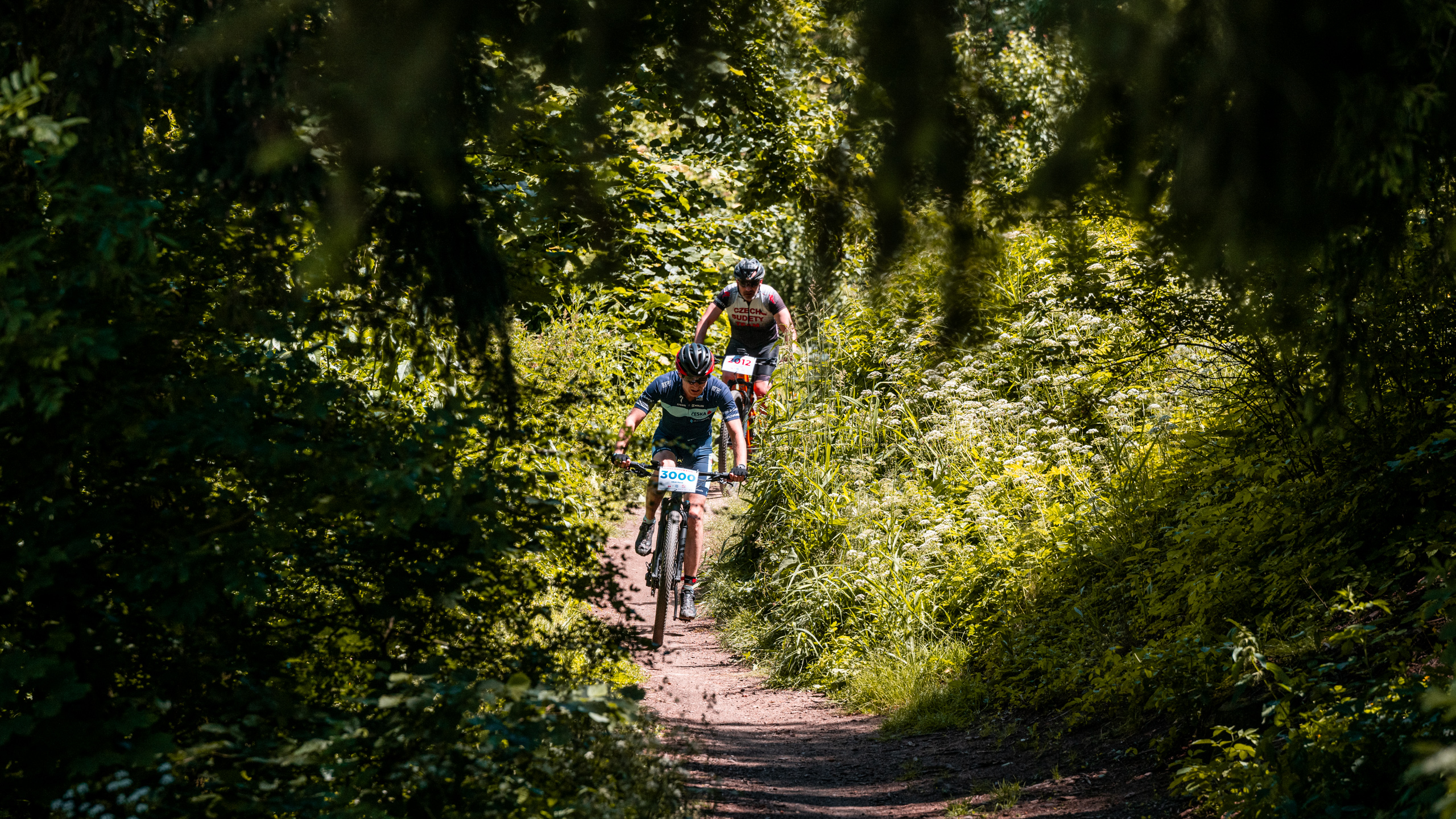 Jihlavská 24 Gravel 2026