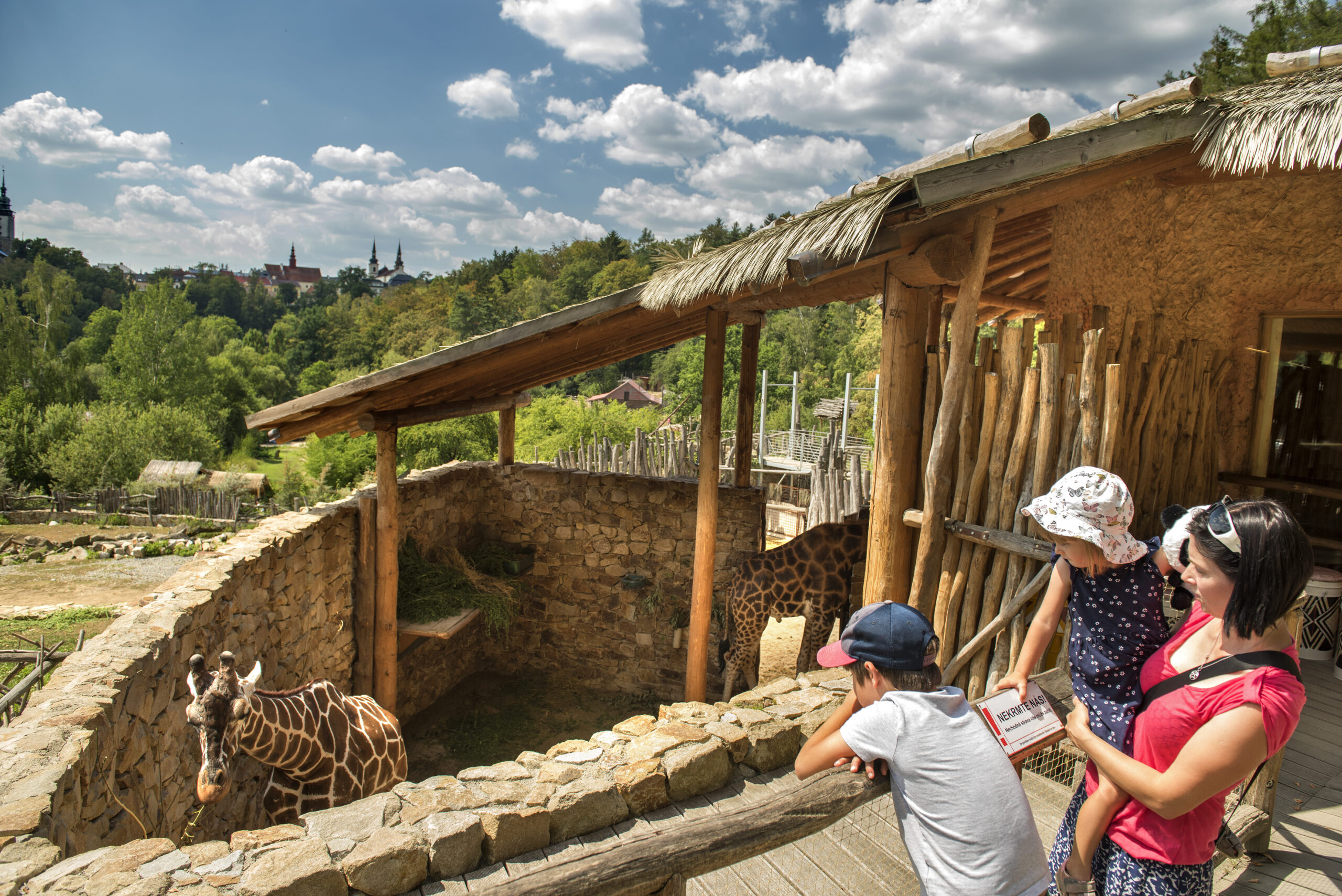 Za vysvědčení do&nbsp;Zoo Jihlava