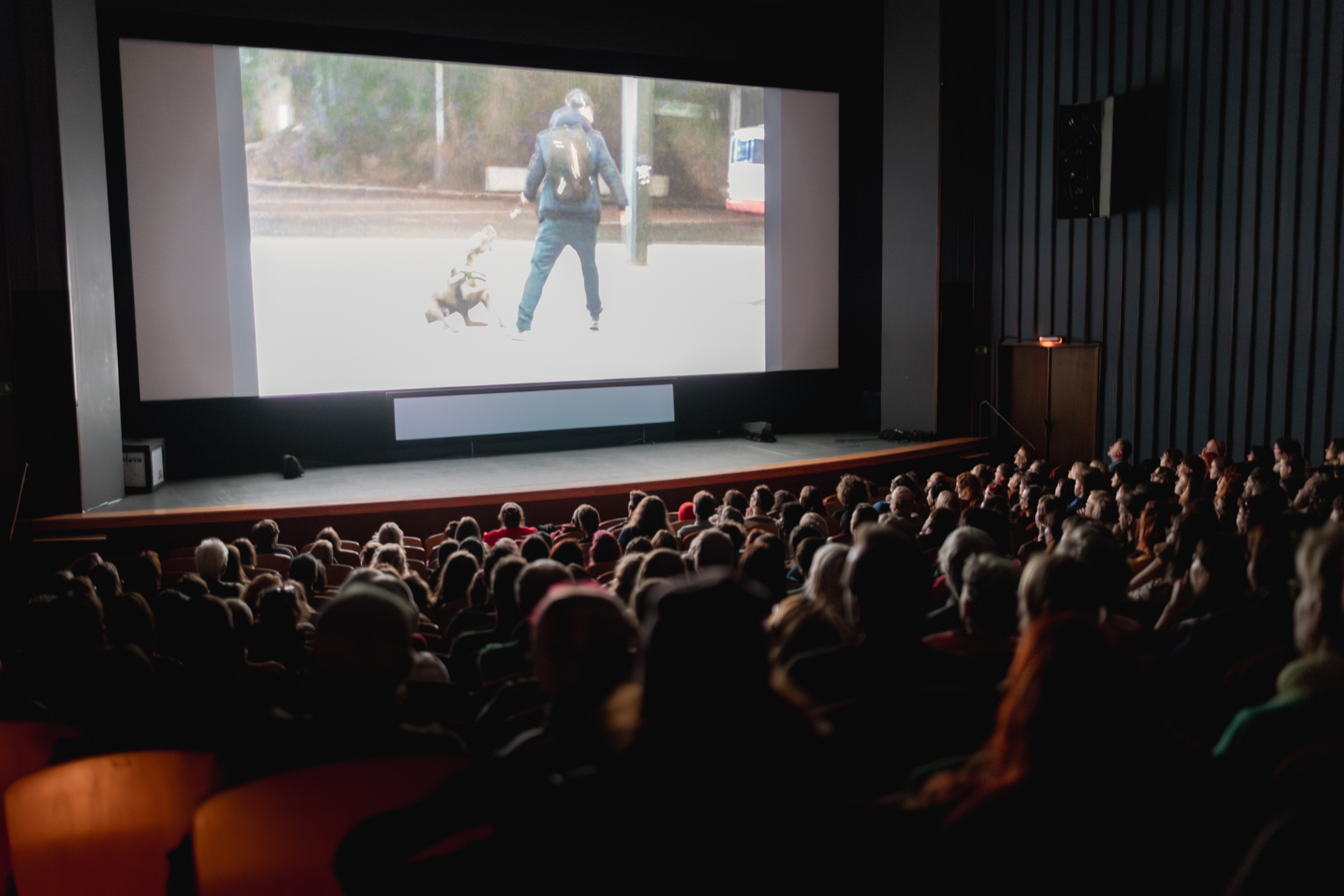 Jihlava se&nbsp;na deset dní promění v&nbsp;hlavní město dokumentárního filmu